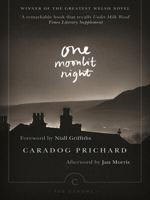 cover image of One Moonlit Night